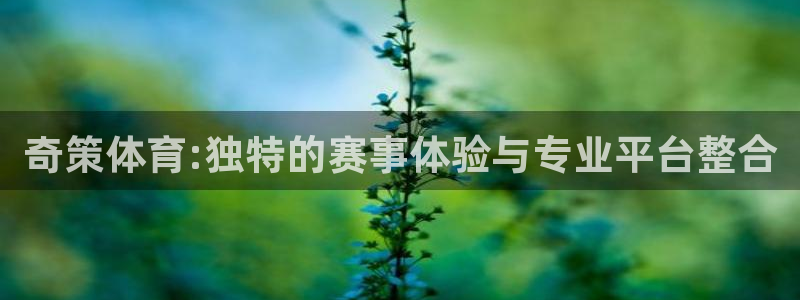 奇策体育:独特的赛事体验与专业平台整合