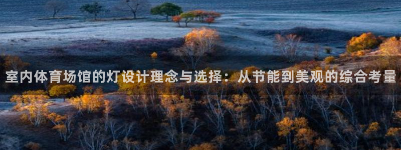 室内体育场馆的灯设计理念与选择：从节能到美观的综合考量