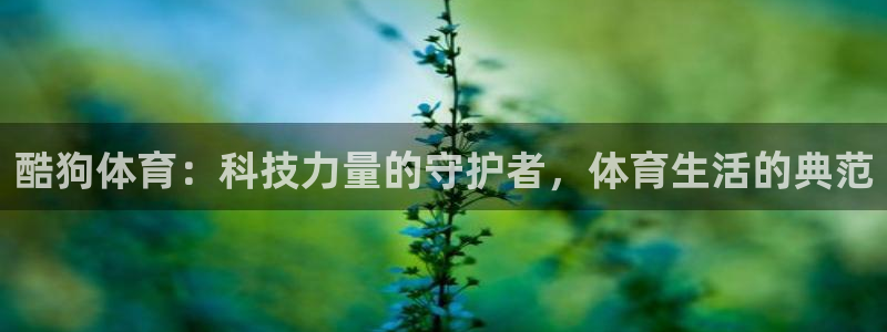 酷狗体育：科技力量的守护者，体育生活的典范