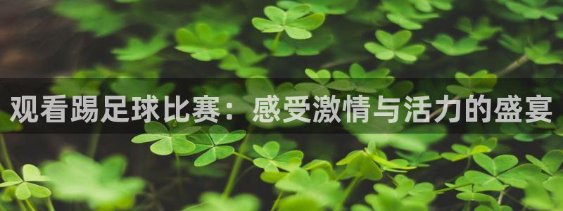 观看踢足球比赛：感受激情与活力的盛宴