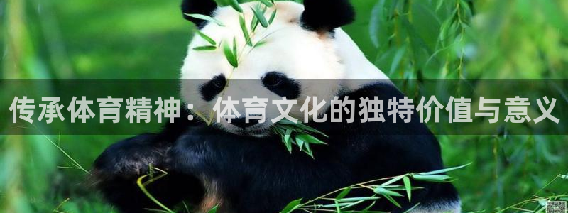 体育在线直播321