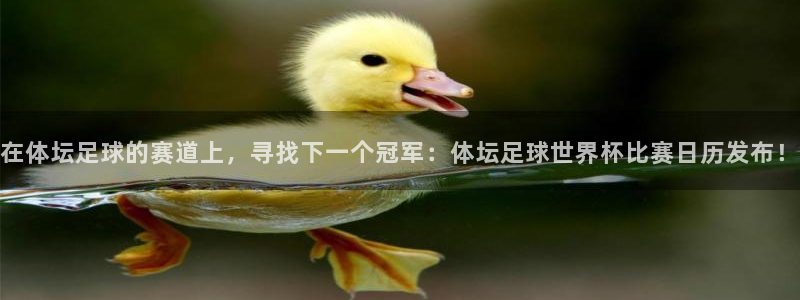 321nba直播：在体坛足球的赛道上，寻找下一个冠军：体坛足球世界杯比赛日历发布！