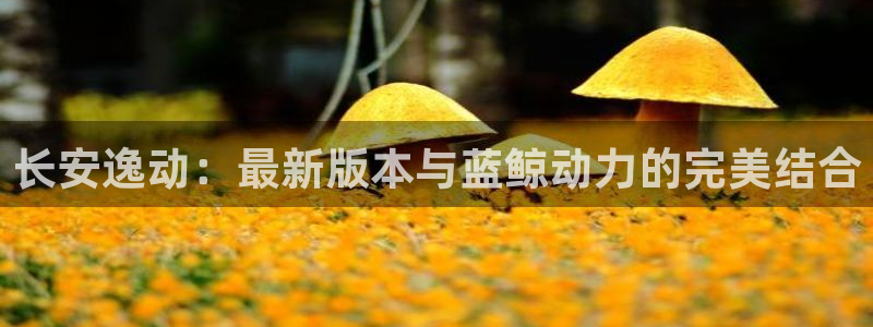 321直播体育app下载安装最新版本：长安逸动：最新版本与蓝鲸动力的完美结合