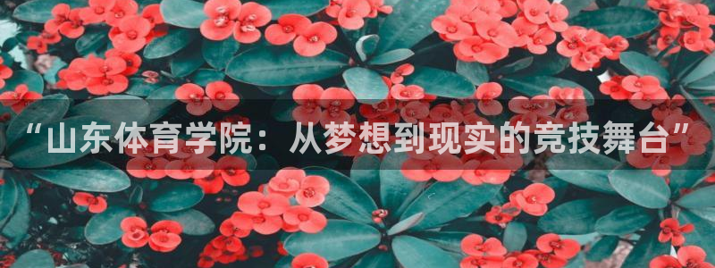 体育在线直播321：“山东体育学院：从梦想到现实的竞技舞台”