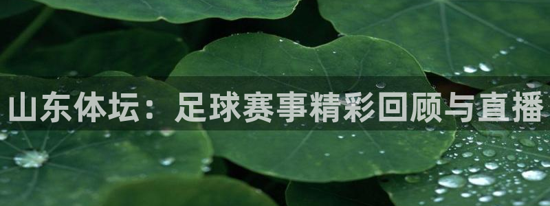321nba直播：山东体坛：足球赛事精彩回顾与直播